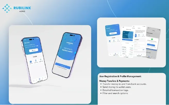 Rubilink Wallet platform with a light blue theme, offering secure money transfers, bank integration, transaction logs, and user management.